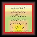 Arshid Asmani 01 * 22.03.2008 * 341 x 712 * (33KB)
